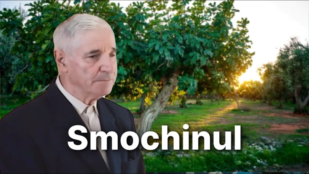 Smochinul – fr. Liviu Chiorean – 22.09.2024