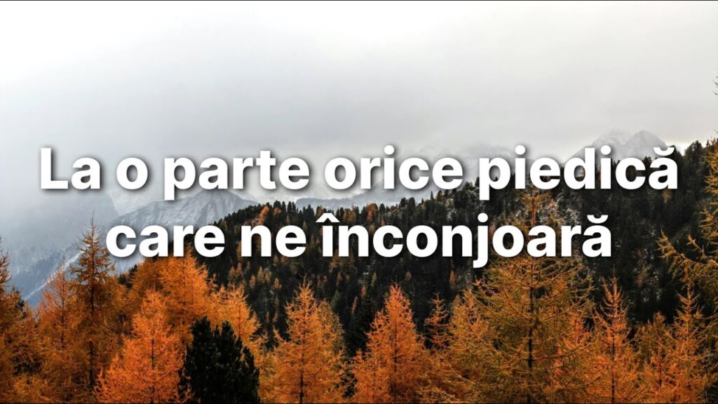 La o parte orice piedică care ne înconjoară – Cornel Brie – Convenția din Peceiu